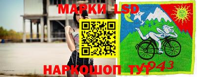 спайс Партизанск