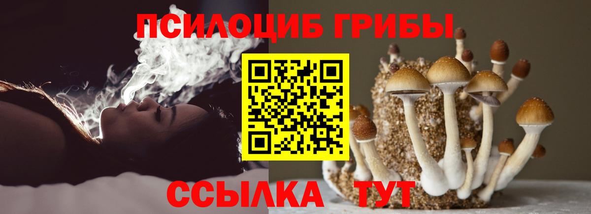 Галлюциногенные грибы Psilocybine cubensis  Псилоцибиновые грибы ЛСД  Вход с VPN  магазин    Сочи 